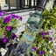 Small image 6