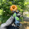 Small image 3