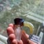 Small image 4