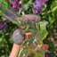 Small image 7