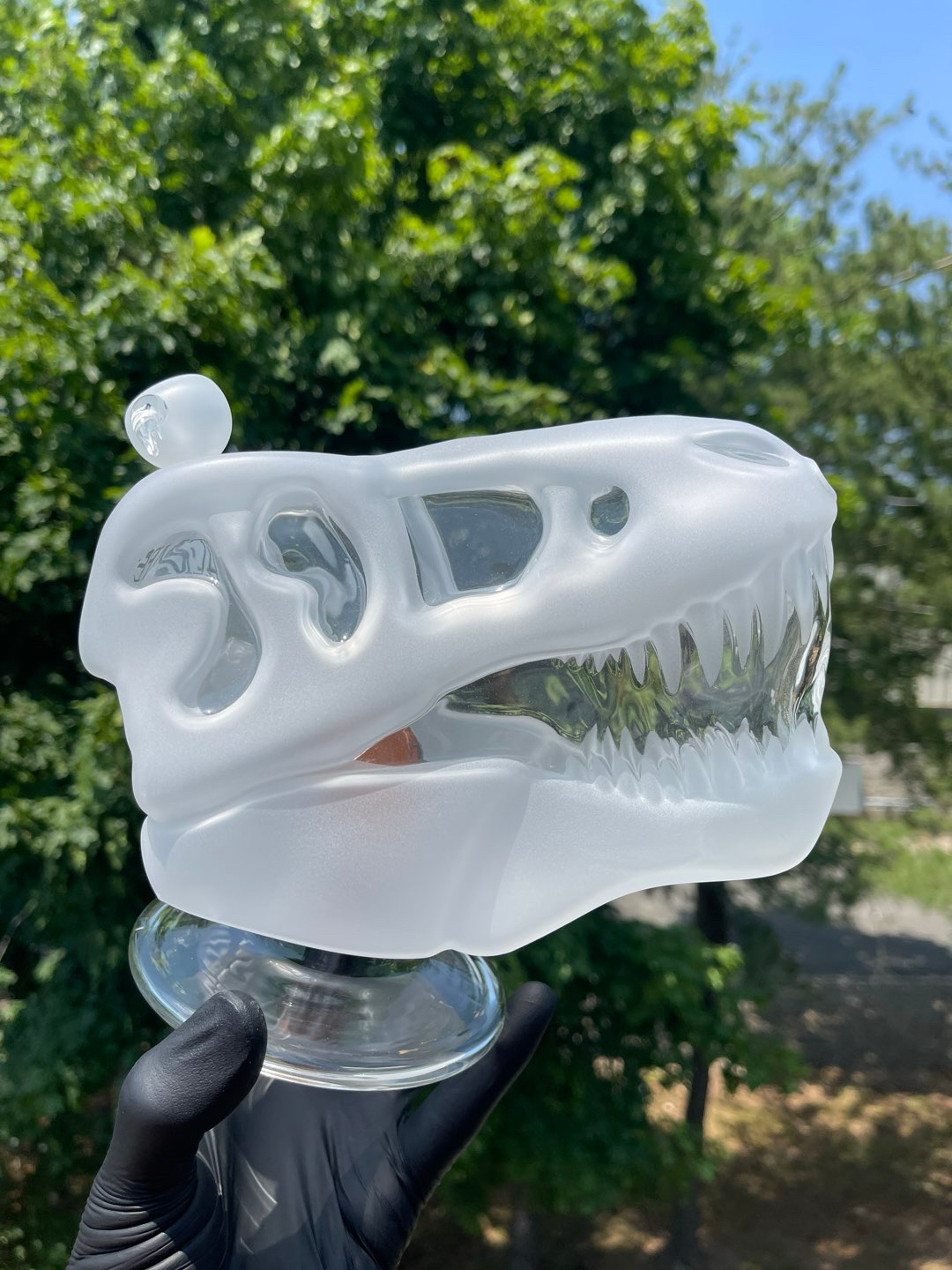 Preview pic of XL Skull Glass Bong