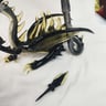 Small image 6