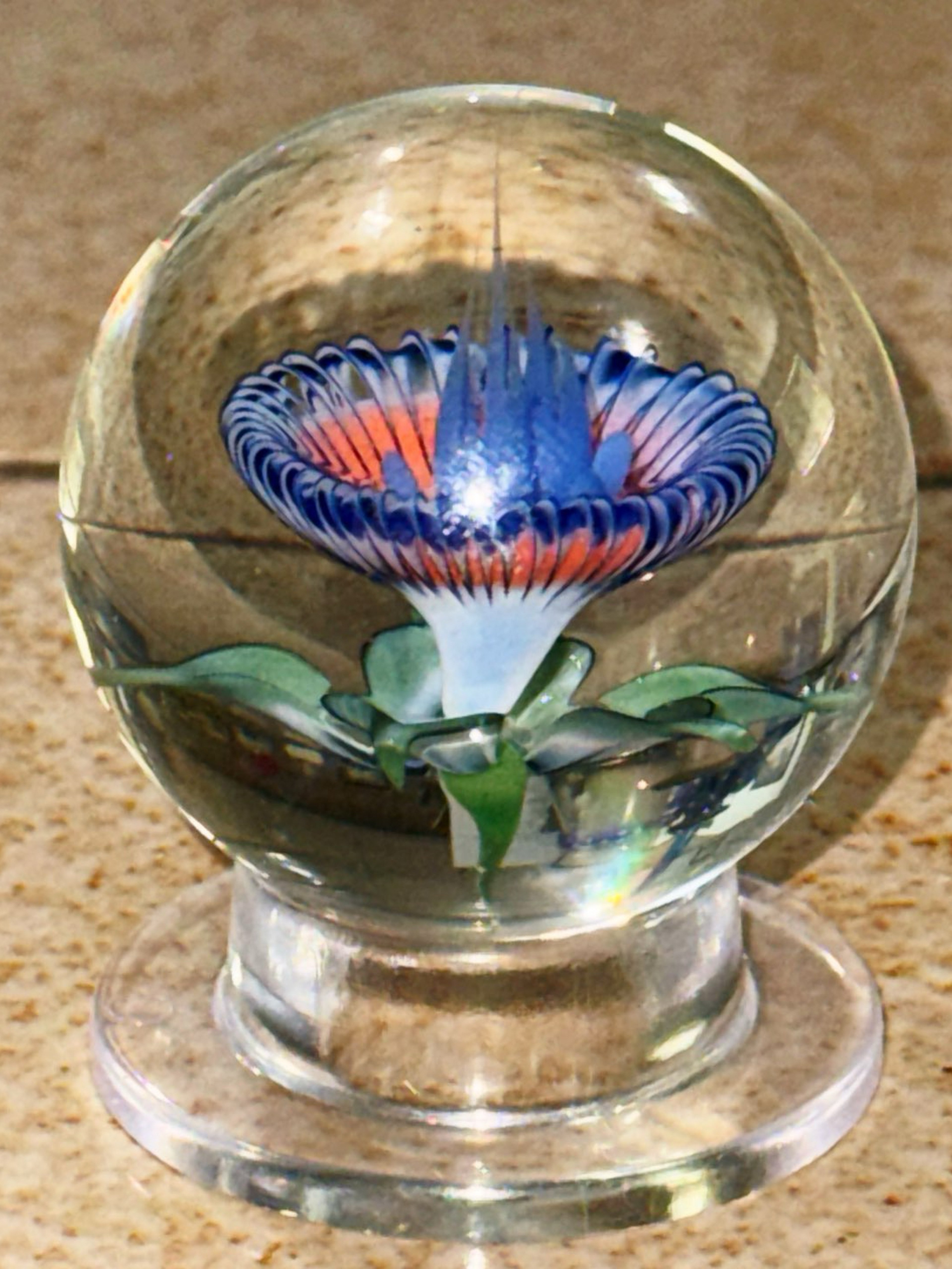 Preview pic of John Kobuki Flower Marble