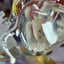 Small image 6