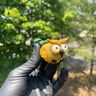 Small image 3