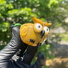 Small image 2