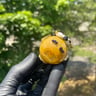 Small image 5