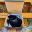 Small image 8