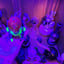 Small image 8