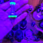 Small image 9
