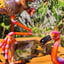Small image 6