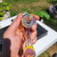 Small image 7