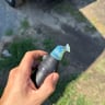 Small image 1