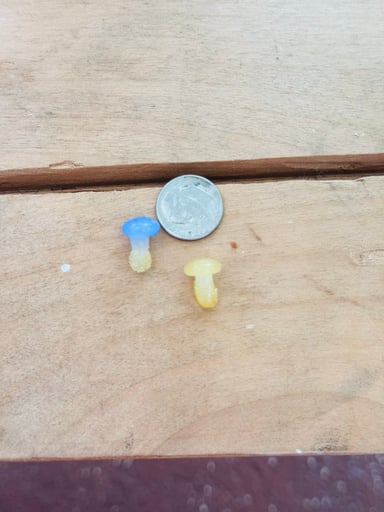 Preview pic of Mushroom set of 2 terp Pearl