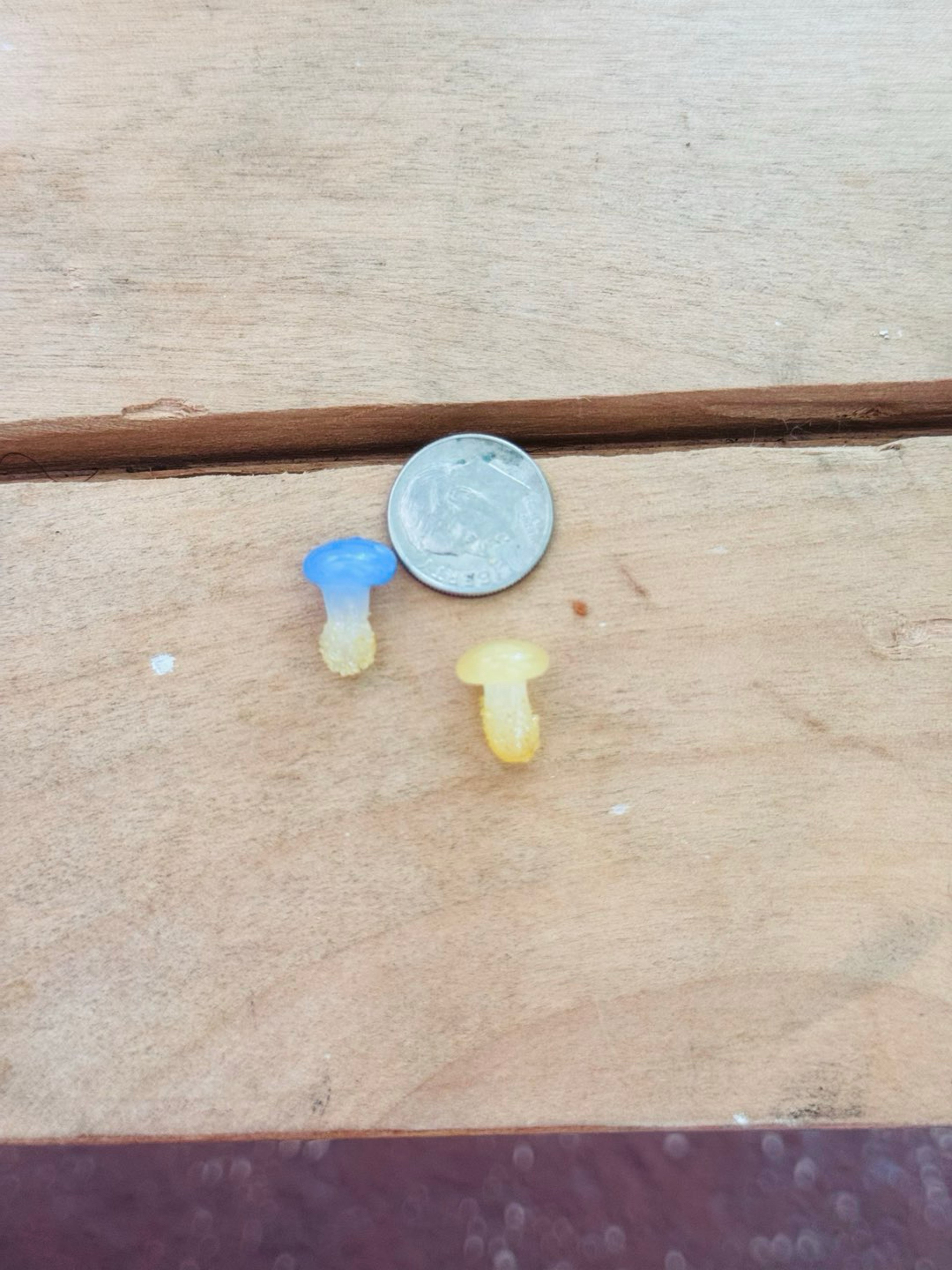 Preview pic of Mushroom set of 2 terp Pearl