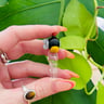 Small image 4