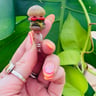 Small image 3