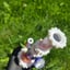 Small image 6