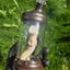Small image 8