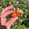 Small image 1