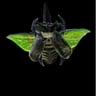 Small image 3
