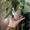 Small image 5