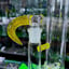 Small image 5