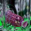 Small image 8