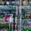 Small image 6