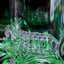 Small image 9