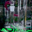 Small image 8