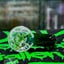 Small image 7