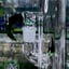 Small image 9