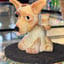 Small image 4