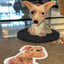 Small image 5