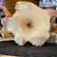 Small image 6