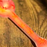 Small image 5