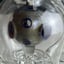 Small image 7