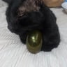 Small image 2