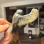 Small image 7