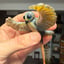 Small image 6