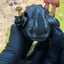 Small image 5
