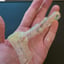 Small image 7