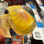 Small image 6