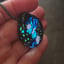 Small image 6