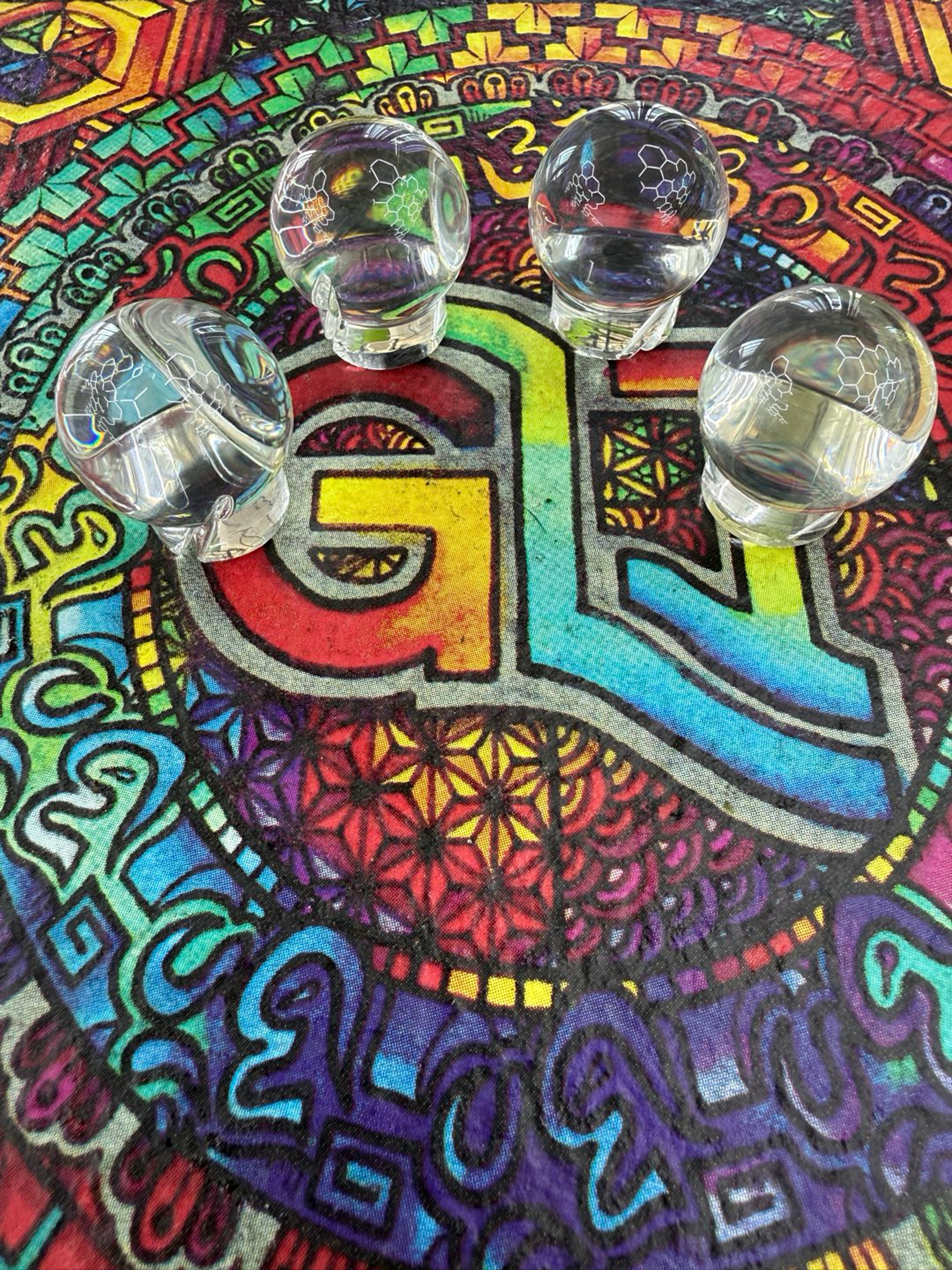Preview pic of One Trick Poney Spinner Cap Clear