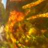 Small image 6