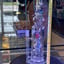 Small image 9