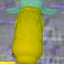 Small image 7