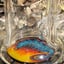 Small image 6